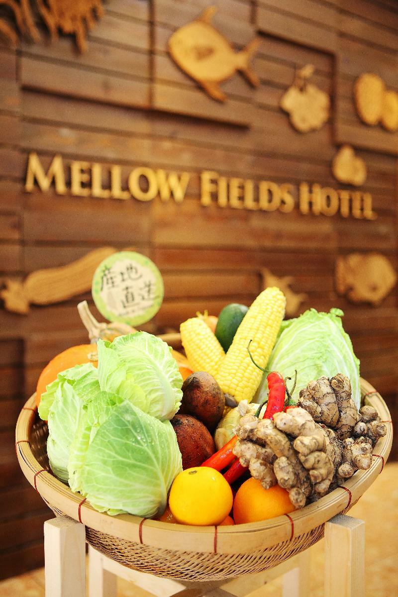Mellow Fields Hotel Taipei Exteriör bild